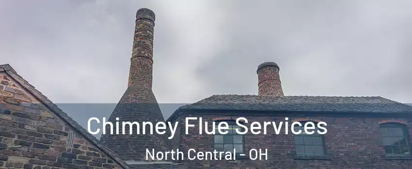 Chimney Flue Services North Central - OH