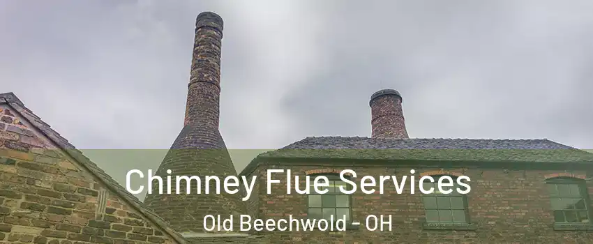 Chimney Flue Services Old Beechwold - OH