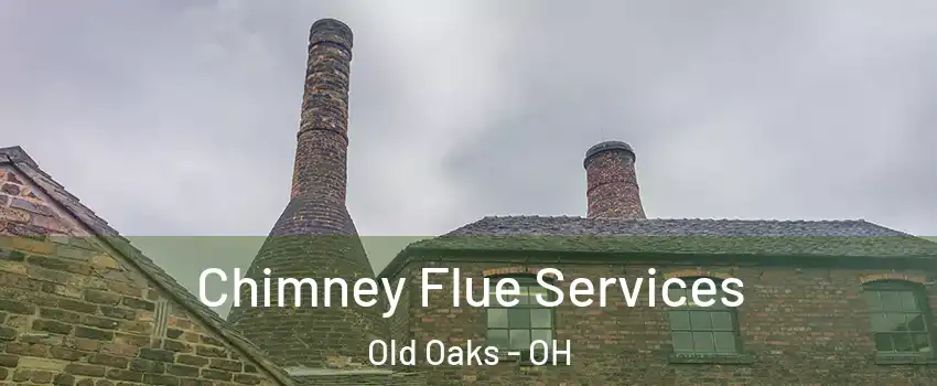 Chimney Flue Services Old Oaks - OH