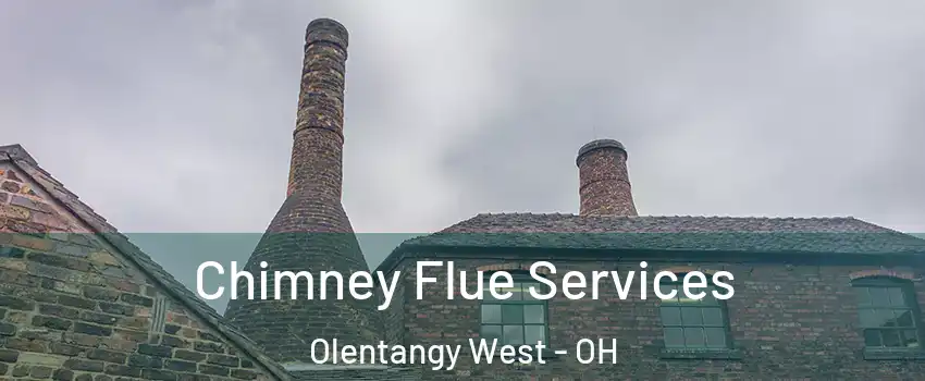 Chimney Flue Services Olentangy West - OH