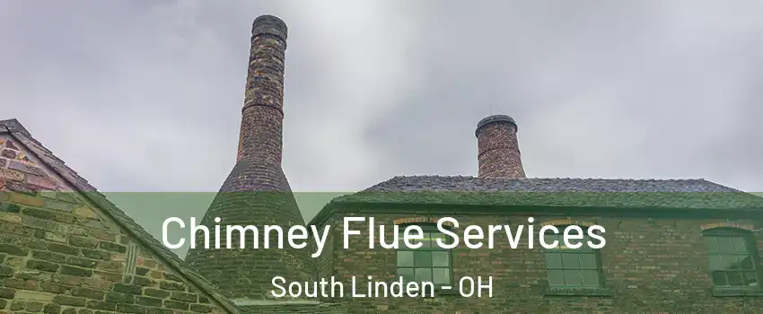 Chimney Flue Services South Linden - OH
