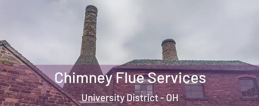 Chimney Flue Services University District - OH