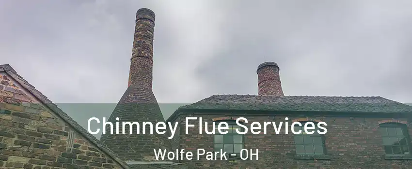Chimney Flue Services Wolfe Park - OH