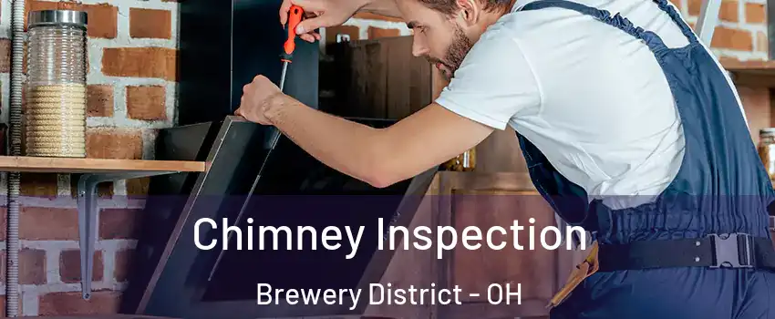 Chimney Inspection Brewery District - OH