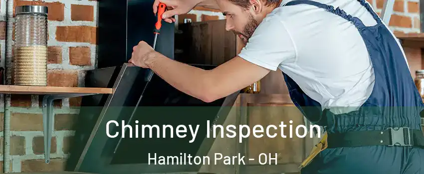 Chimney Inspection Hamilton Park - OH