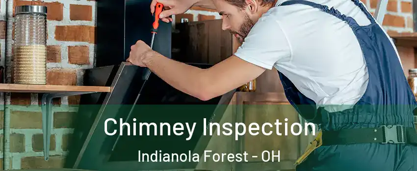 Chimney Inspection Indianola Forest - OH