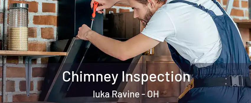 Chimney Inspection Iuka Ravine - OH