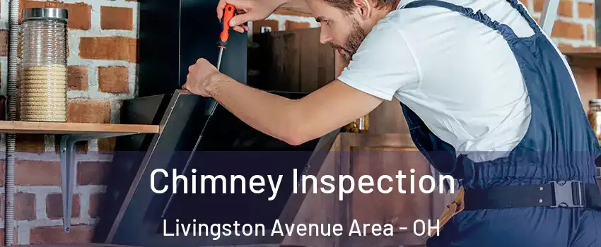 Chimney Inspection Livingston Avenue Area - OH