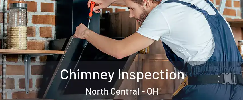 Chimney Inspection North Central - OH
