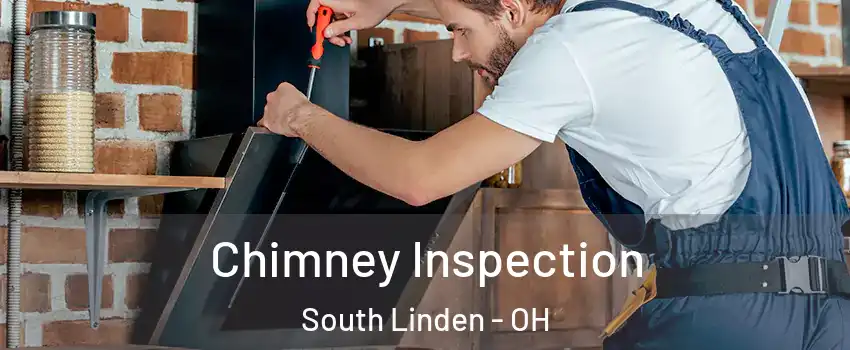 Chimney Inspection South Linden - OH