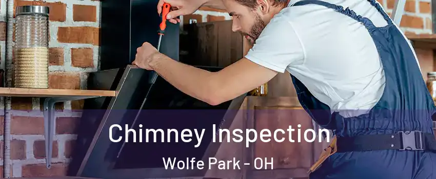Chimney Inspection Wolfe Park - OH