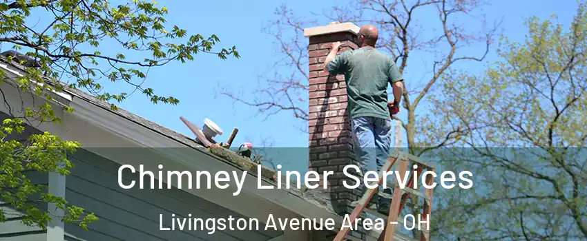 Chimney Liner Services Livingston Avenue Area - OH