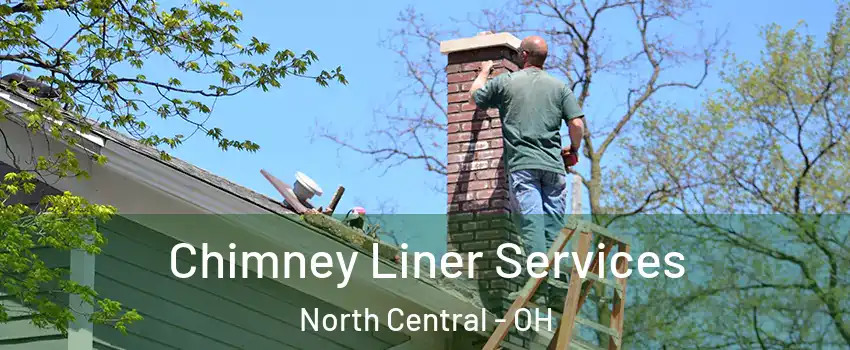 Chimney Liner Services North Central - OH
