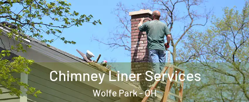 Chimney Liner Services Wolfe Park - OH