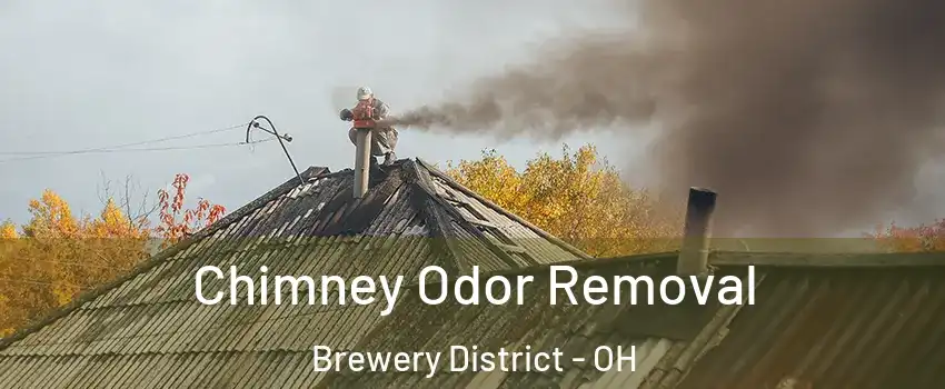 Chimney Odor Removal Brewery District - OH
