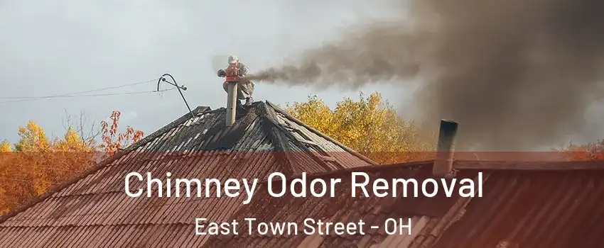 Chimney Odor Removal East Town Street - OH