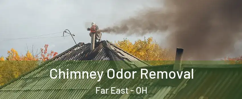 Chimney Odor Removal Far East - OH