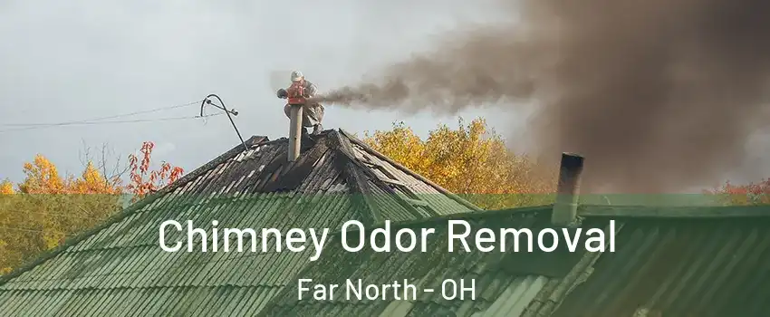 Chimney Odor Removal Far North - OH