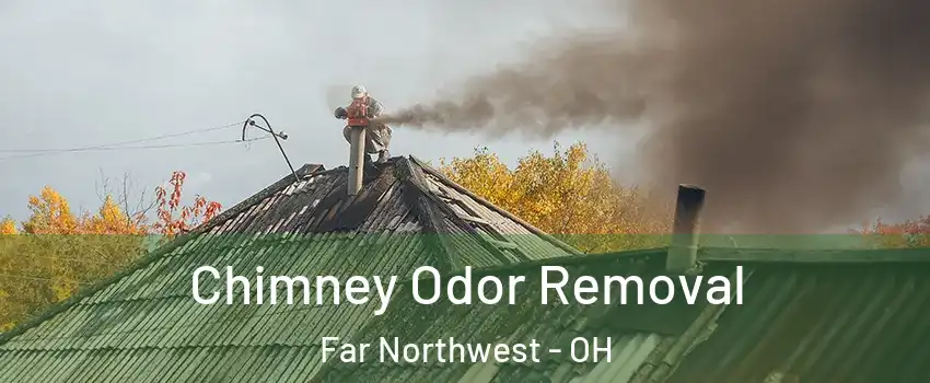 Chimney Odor Removal Far Northwest - OH
