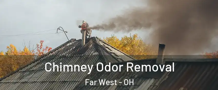 Chimney Odor Removal Far West - OH