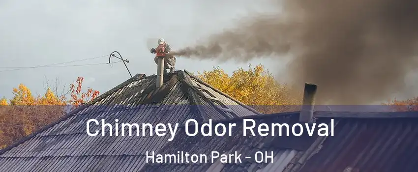Chimney Odor Removal Hamilton Park - OH
