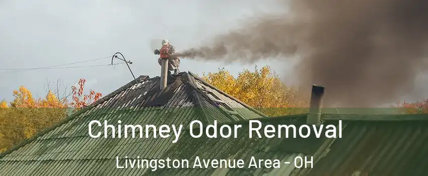 Chimney Odor Removal Livingston Avenue Area - OH