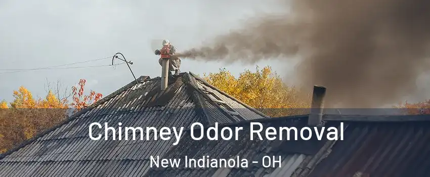 Chimney Odor Removal New Indianola - OH