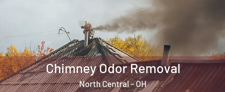 Chimney Odor Removal North Central - OH