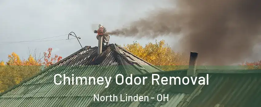 Chimney Odor Removal North Linden - OH