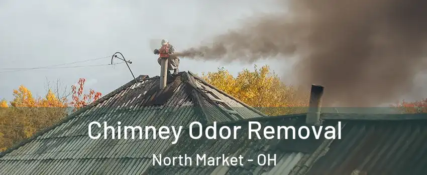 Chimney Odor Removal North Market - OH