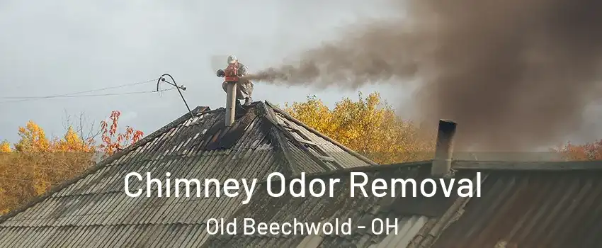 Chimney Odor Removal Old Beechwold - OH
