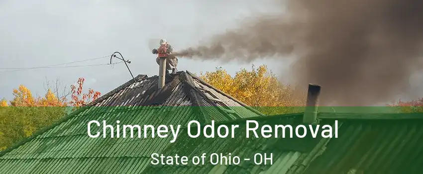 Chimney Odor Removal State of Ohio - OH