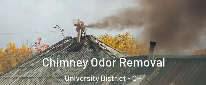 Chimney Odor Removal University District - OH