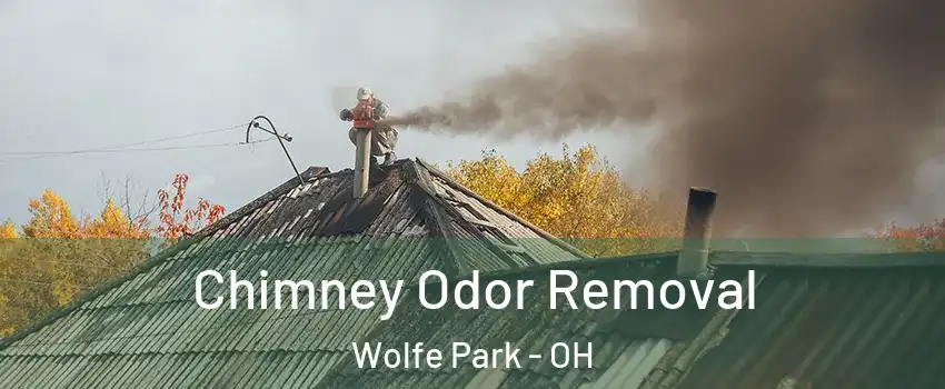 Chimney Odor Removal Wolfe Park - OH