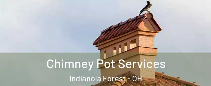 Chimney Pot Services Indianola Forest - OH