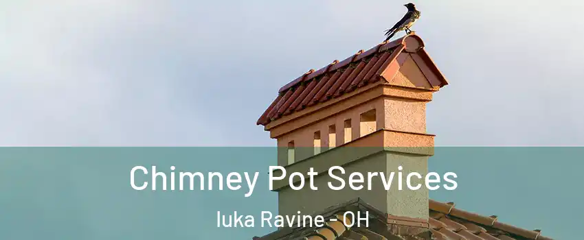 Chimney Pot Services Iuka Ravine - OH