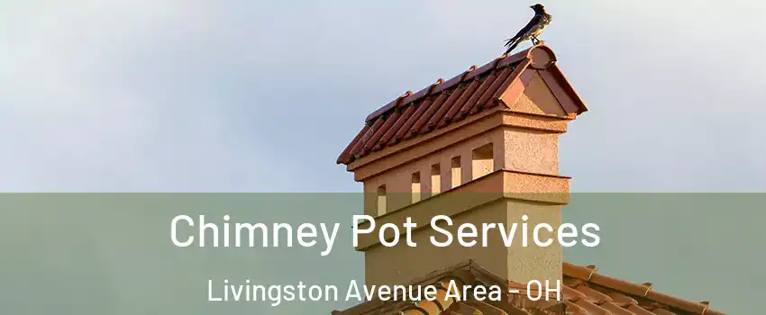 Chimney Pot Services Livingston Avenue Area - OH