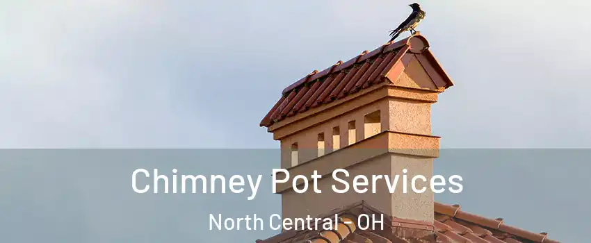 Chimney Pot Services North Central - OH