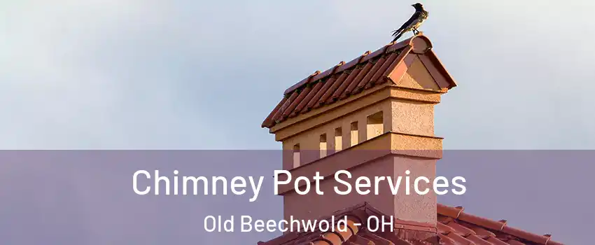 Chimney Pot Services Old Beechwold - OH