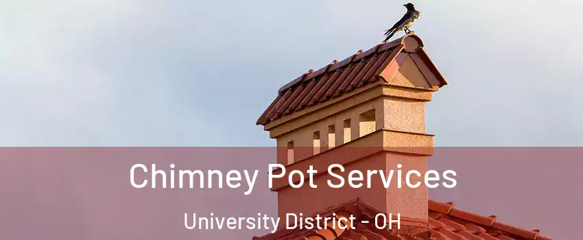 Chimney Pot Services University District - OH
