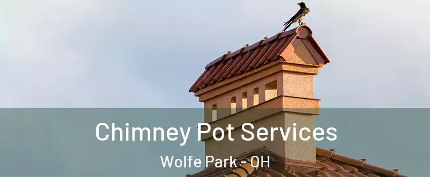 Chimney Pot Services Wolfe Park - OH