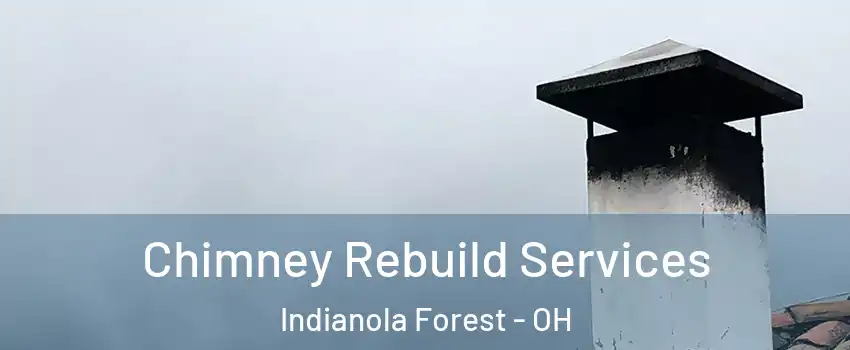 Chimney Rebuild Services Indianola Forest - OH