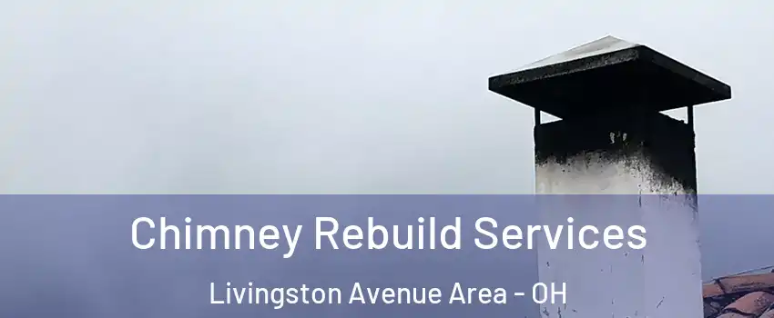 Chimney Rebuild Services Livingston Avenue Area - OH