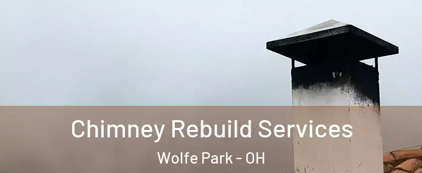 Chimney Rebuild Services Wolfe Park - OH