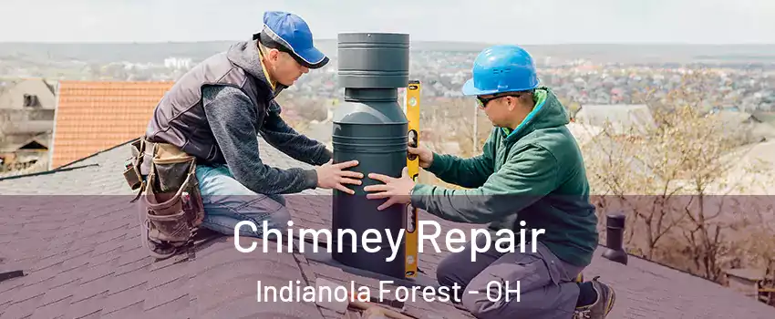 Chimney Repair Indianola Forest - OH