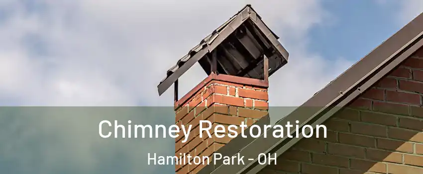 Chimney Restoration Hamilton Park - OH