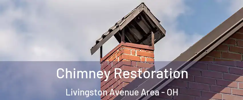 Chimney Restoration Livingston Avenue Area - OH