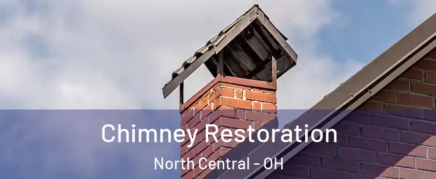 Chimney Restoration North Central - OH