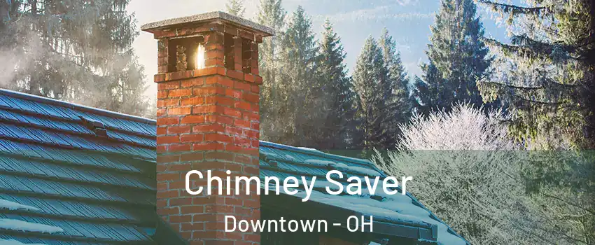 Chimney Saver Downtown - OH