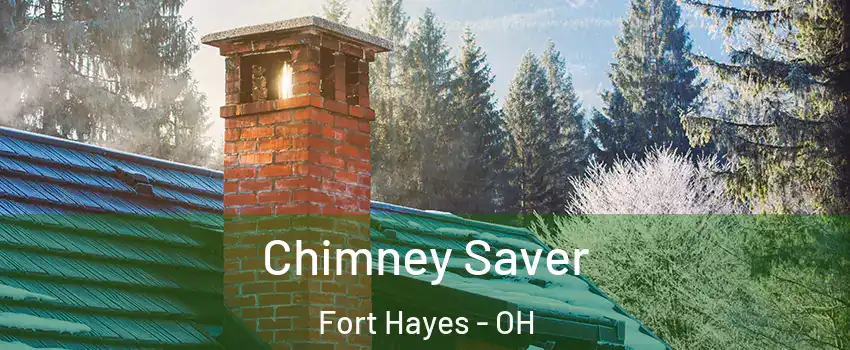 Chimney Saver Fort Hayes - OH